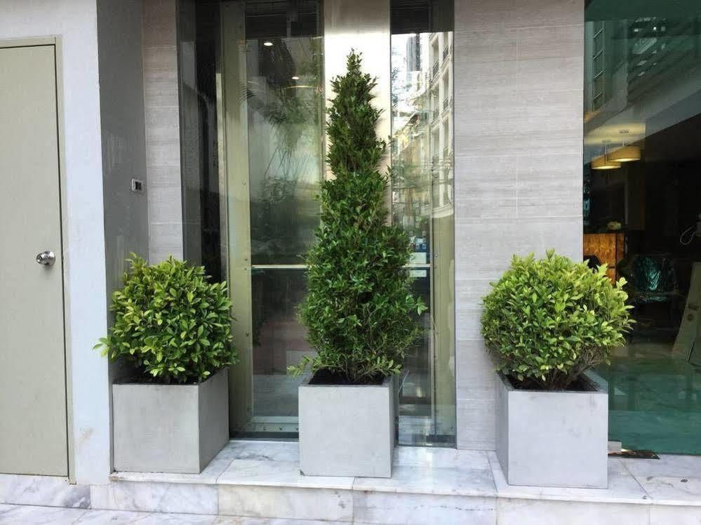 Syama Suite Sukhumvit 20 Bangkok Eksteriør bilde